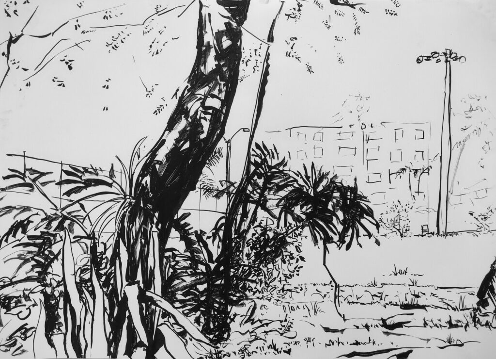 El Parque. Dibujo